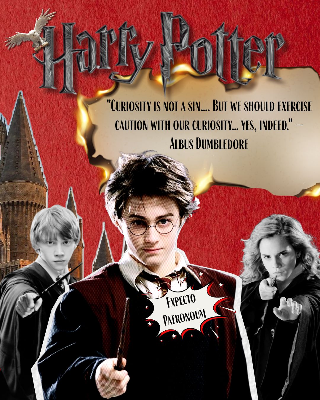 Poster Harry Potter Literasi
